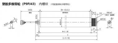 電動(dòng)輥筒 塑膠多楔帶輪（P9PJ43） 內螺紋 （可配置鋼制多楔